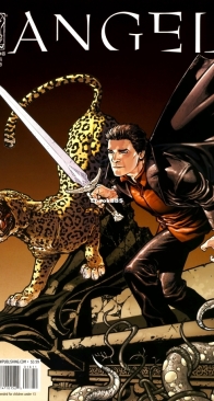 Angel v2 18 (of 44) - IDW 2009 - English