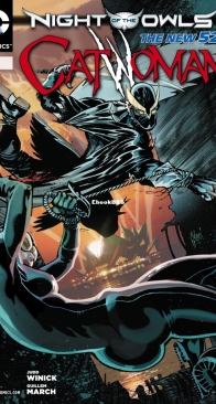 Catwoman Vol.4. 09 of (52) - DC Comics 2011 - English