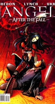 Angel - After The Fall 03 (of 17) - IDW 2008 - English