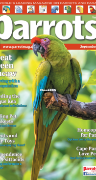 Parrots - Issue 332 - 09.2025 - English