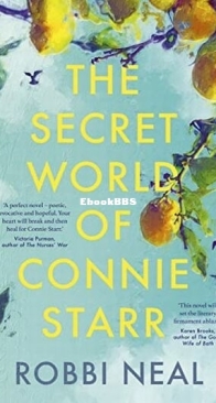 The Secret World of Connie Starr - Robbi Neal - English