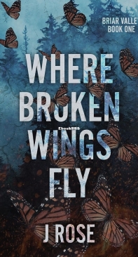 Where Broken Wings Fly - Briar Valley 01 - J Rose - English