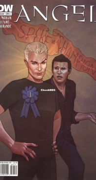 Angel v2 37 (of 44) - IDW 2010 - English