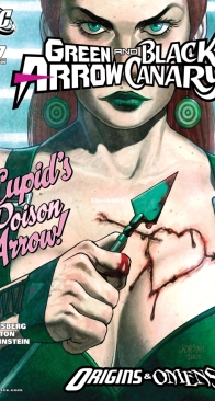Green Arrow Vol 4. - Black Canary 17 (of 32) - 2009 DC Comics - English