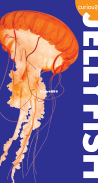 Jellyfish - Curious About - Annie Holdren - English