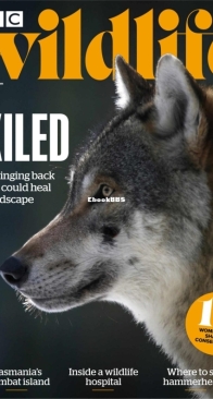 BBC Wildlife 2024 05 - English