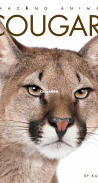 Cougars - Amazing Animals - Kate Riggs - English