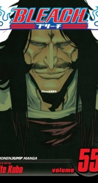 Bleach Colored 55 (of 74) - Viz 2013 - Tite Kubo - English