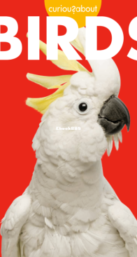 Birds - Curious About - Jill Sherman - English