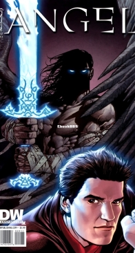 Angel v2 22 (of 44) - IDW 2009 - English