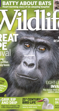 BBC Wildlife 2017 11 - English