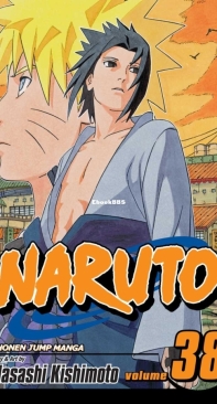 Naruto - Black and White - 38 (of 72) - Viz 2009 - Masashi Kishimoto - English