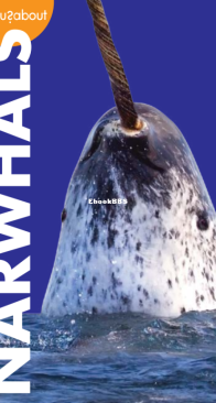 Narwhals - Curious About - Annie Holdren - English