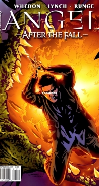 Angel - After The Fall 11 (of 17) - IDW 2008 - English