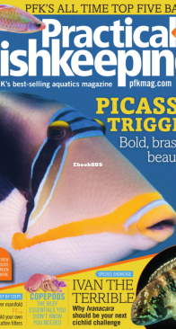 Practical Fishkeeping Magazine - 2020-01 - English