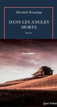 Dans Les Angles Morts - Elizabeth Brundage - French