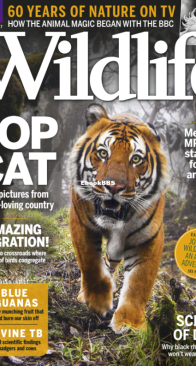 BBC Wildlife 2017 10 - English