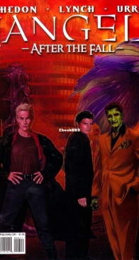 Angel - After The Fall 06 (of 17) - IDW 2008 - English