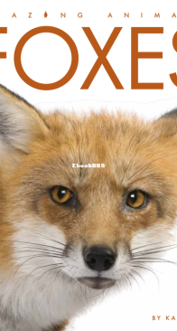 Foxes - Amazing Animals - Kate Riggs - English