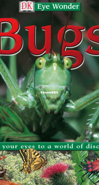 Bugs - DK Eye Wonder -  Penelope York - English