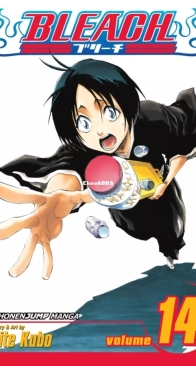 Bleach Colored 14 (of 74) - Viz 2006 - Tite Kubo - English