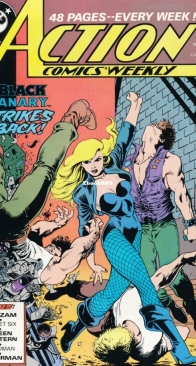 Action Comics 624 - DC Comics - James Owsley - November 1988 – English