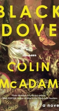 Black Dove - Colin McAdam - English