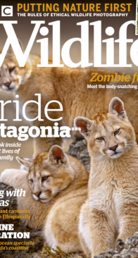 BBC Wildlife 2020 11 - English