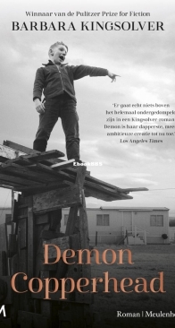 Demon Copperhead - Barbara Kingsolver - Dutch