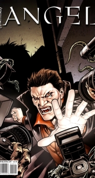 Angel v2 19 (of 44) - IDW 2009 - English