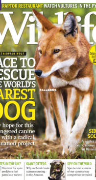 BBC Wildlife 2012 13 - English
