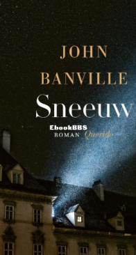 Sneeuw - John Banville - Dutch