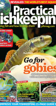 Practical Fishkeeping Magazine - 2016-02 - English