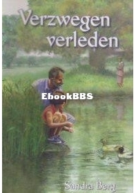 Verzwegen Verleden - Sandra Berg - Dutch