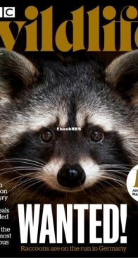 BBC Wildlife 2023 02 - English