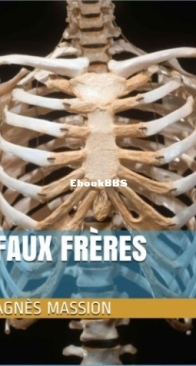 Faux Frères - Agnès Massion - French