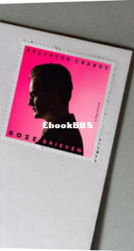 Roze Brieven -Splinter Chabot- Dutch