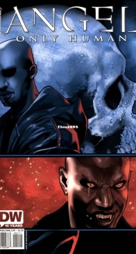 Angel - Only Human 02 (of 5) - IDW 2009 - Englsh