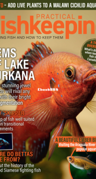 Practical Fishkeeping Magazine - 2025-04 - English